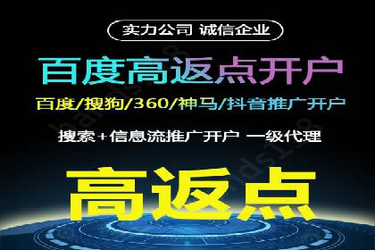 某某企业SEM推广成功案例：打造品牌营销新模式